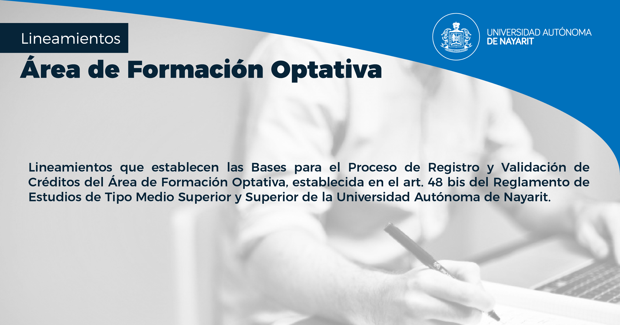 Lineamientos 2