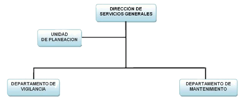 Organigrama dirección de servicios generales