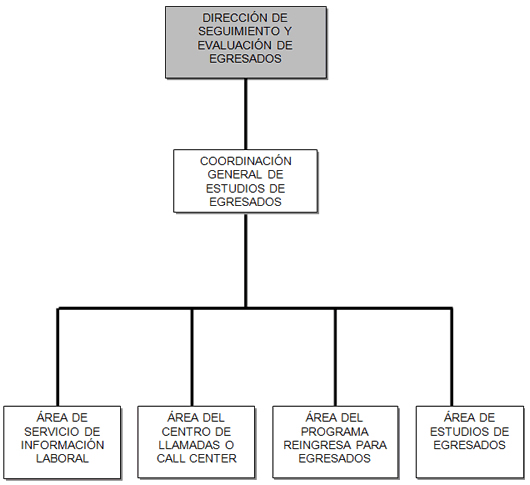 Estructura orgánica