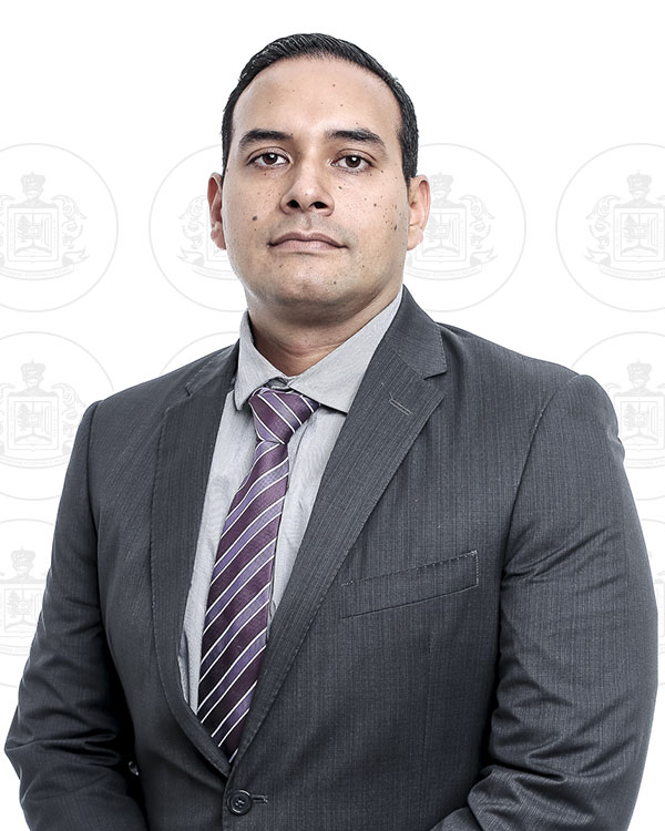 José Ernesto Villanueva Trejo