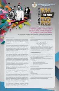 Pasarela de Proyectos Nivel Superior 2013