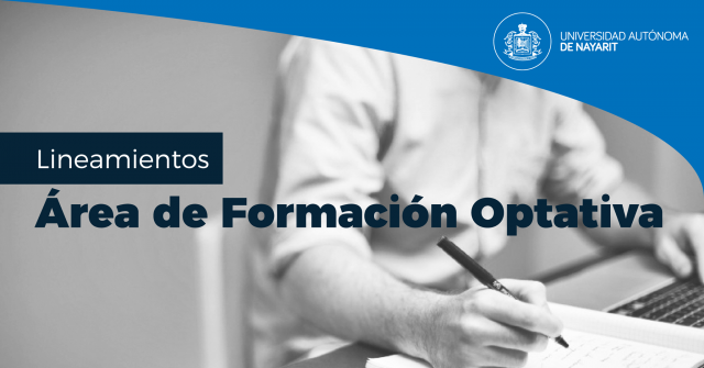 Lineamientos 1