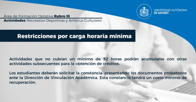 Lineamientos 15