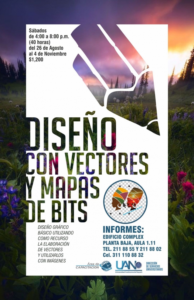 Diseño con vectores