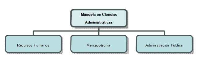 Terminales